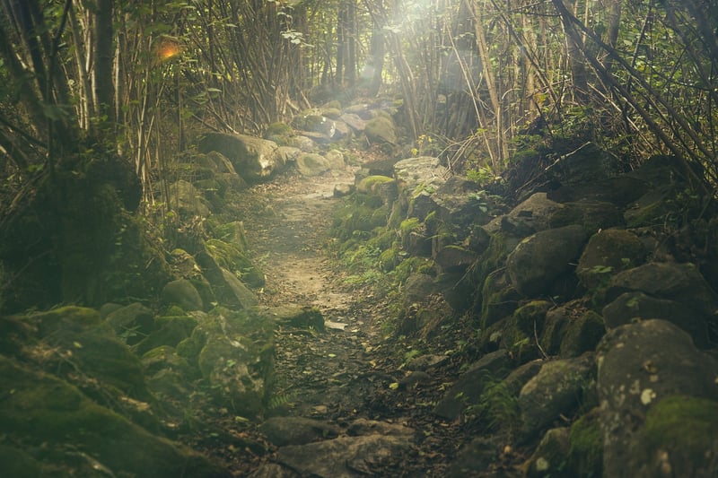 Enchanted Pathway