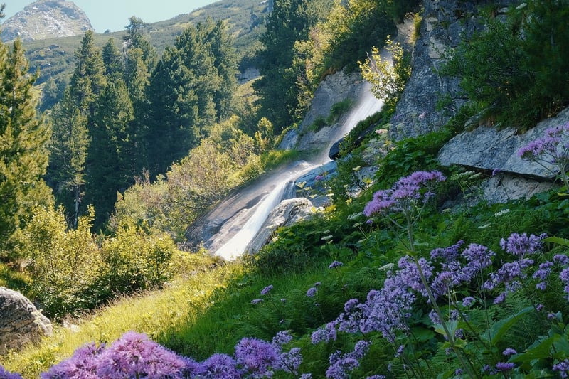 Water Feature